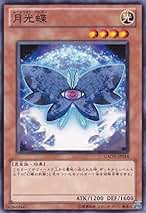 Amazon.co.jp: 月光蝶